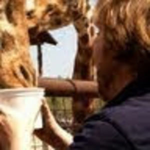 Meet your Posher, Joe